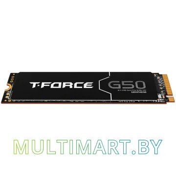 SSD диск Team T-Force G50 2TB (TM8FFE002T0C129) картинка 2